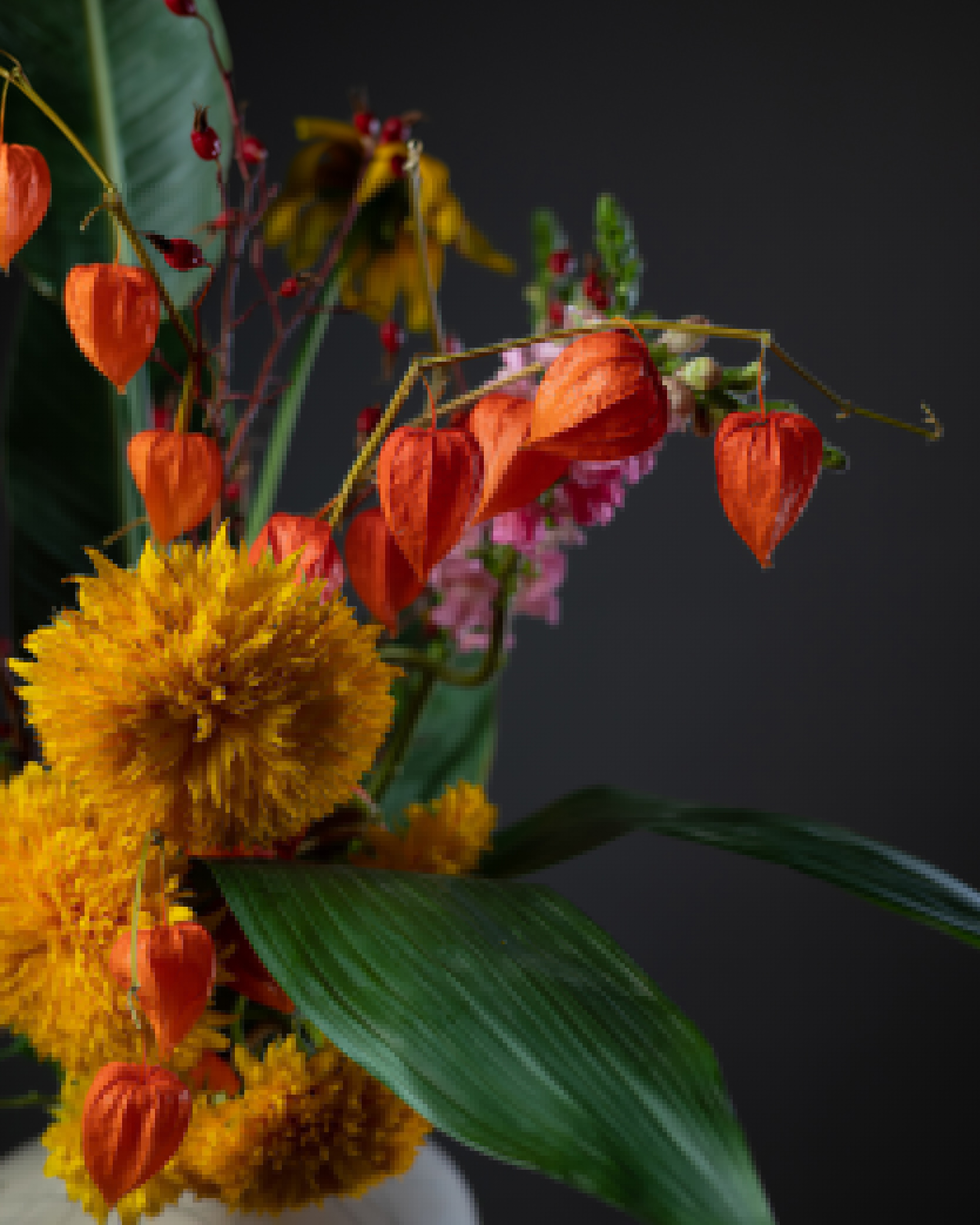 Владельцы студий